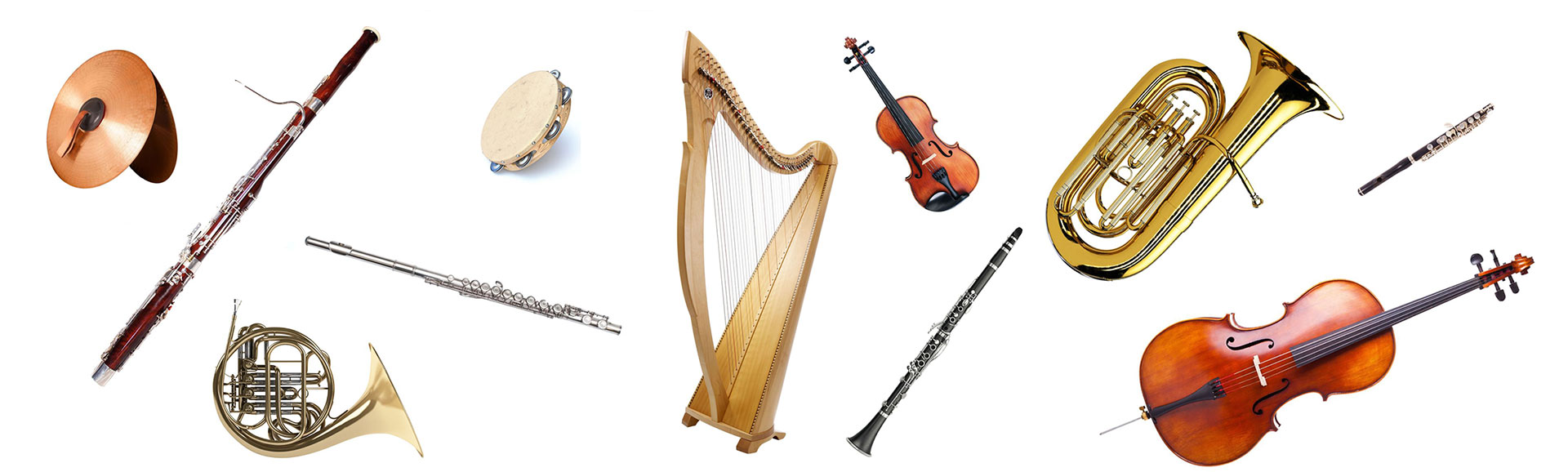 The Introductory Guide to the Orchestra - Secondary - Orchestre