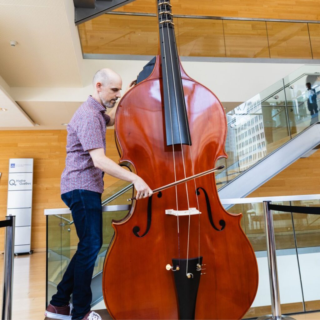 Octobass clearance